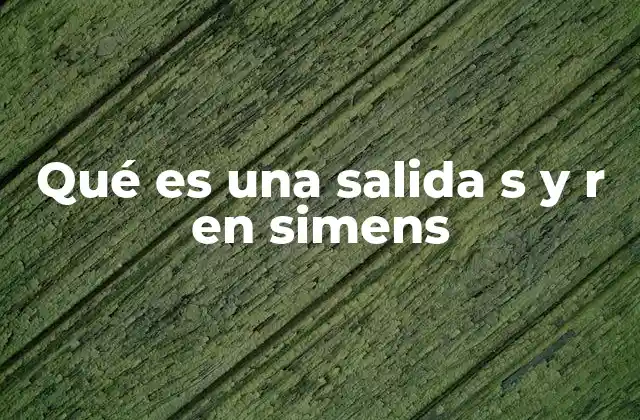 Qué es una Salida S y R en Simens