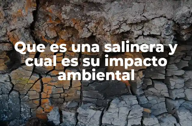 Que es una Salinera y Cual es Su Impacto Ambiental
