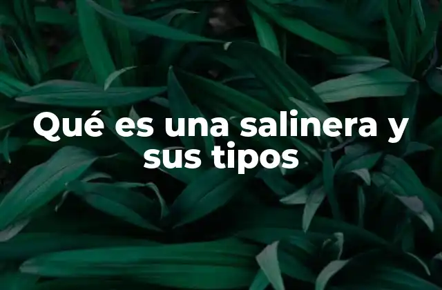 Qué es una Salinera y Sus Tipos