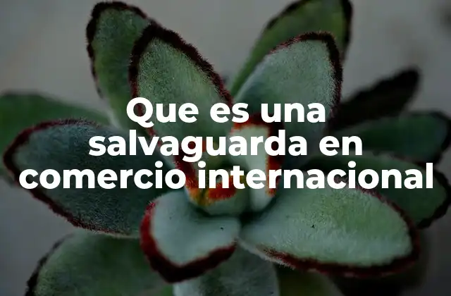 Que es una Salvaguarda en Comercio Internacional