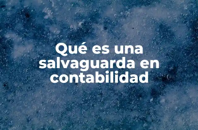 Qué es una Salvaguarda en Contabilidad