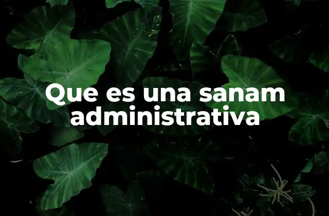 Que es una Sanam Administrativa