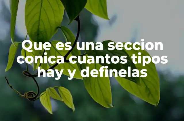 Que es una Seccion Conica Cuantos Tipos Hay y Definelas