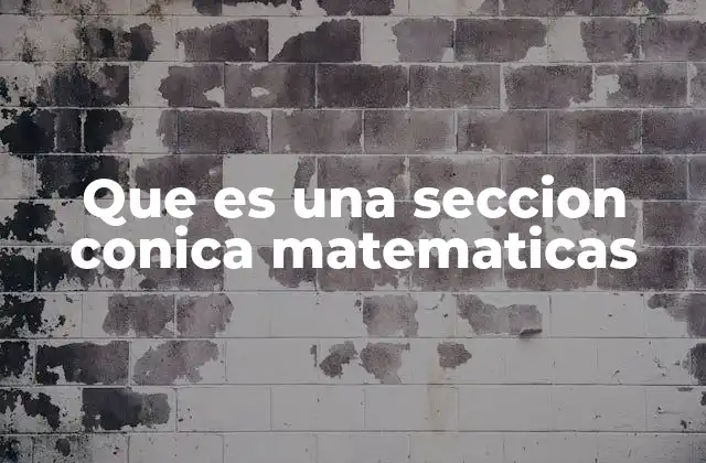 Que es una Seccion Conica Matematicas