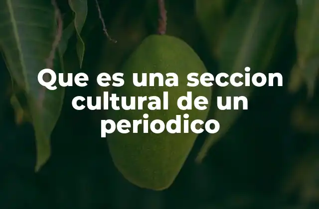 Que es una Seccion Cultural de un Periodico