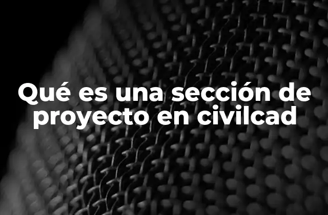 Qué es una Sección de Proyecto en Civilcad