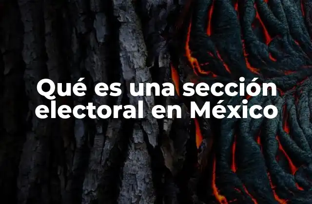 Qué es una Sección Electoral en México