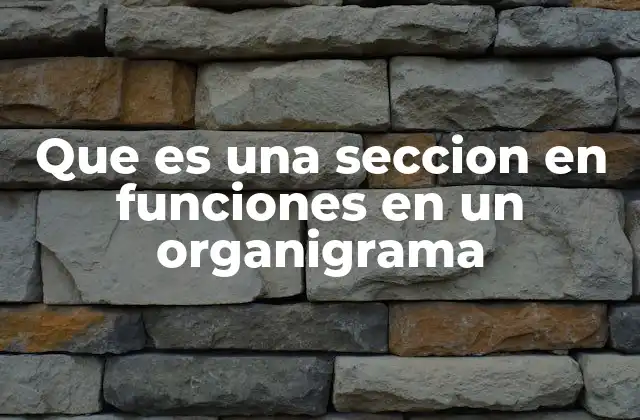 Que es una Seccion en Funciones en un Organigrama