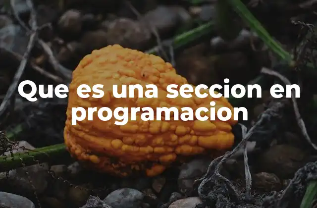 Que es una Seccion en Programacion