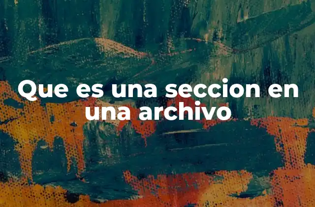 Que es una Seccion en una Archivo