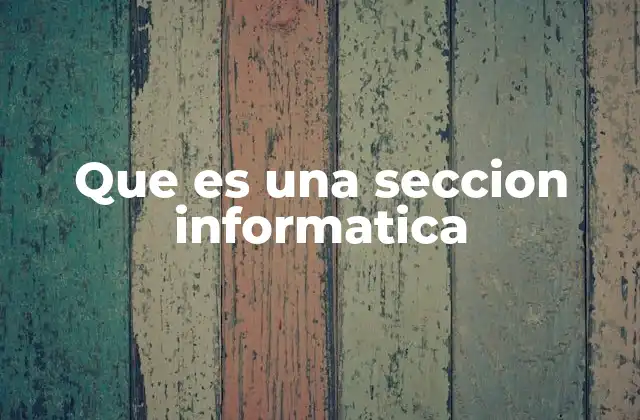 Que es una Seccion Informatica 2 El rol de las secciones informáticas en la gestión tecnológica