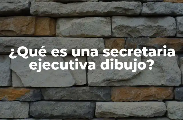 ¿qué es una Secretaria Ejecutiva Dibujo?