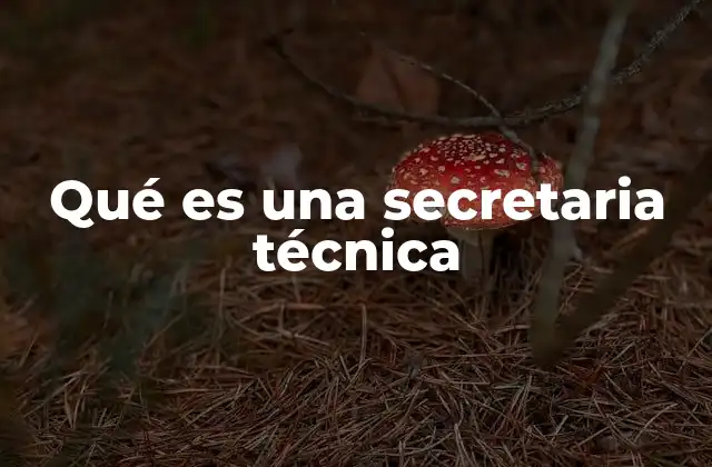 Qué es una Secretaria Técnica