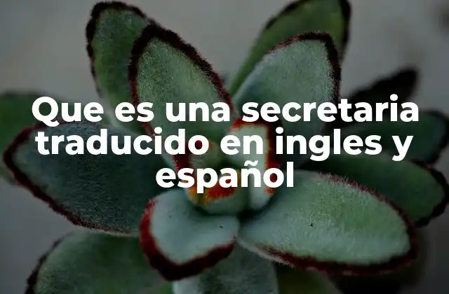 Que es una Secretaria Traducido en Ingles y Español