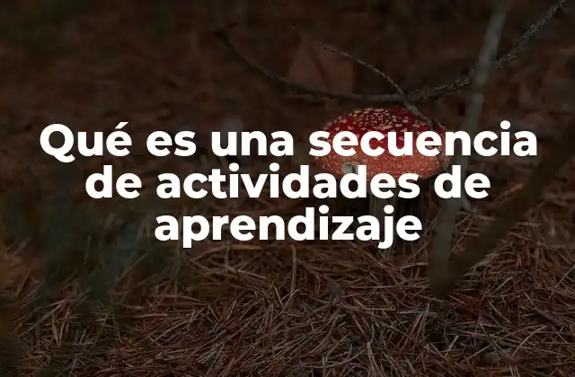 Qué es una Secuencia de Actividades de Aprendizaje