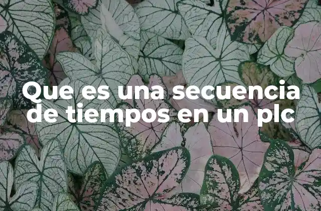 Que es una Secuencia de Tiempos en un Plc 2 Cómo las secuencias de tiempos optimizan los procesos industriales