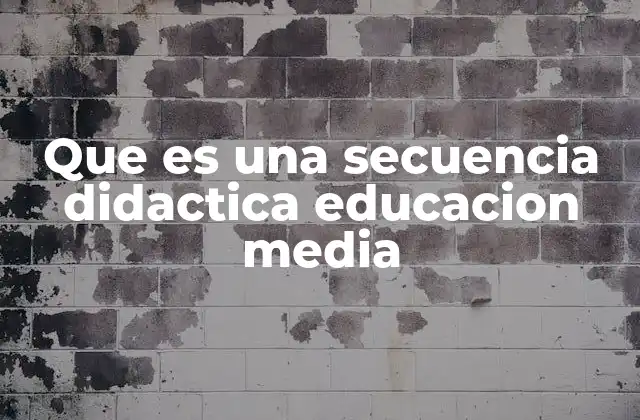 Que es una Secuencia Didactica Educacion Media