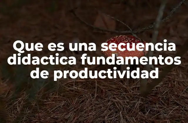 Que es una Secuencia Didactica Fundamentos de Productividad