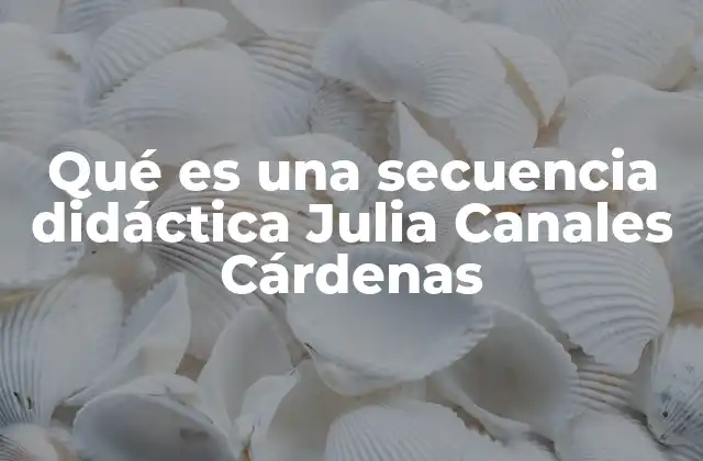 Qué es una Secuencia Didáctica Julia Canales Cárdenas