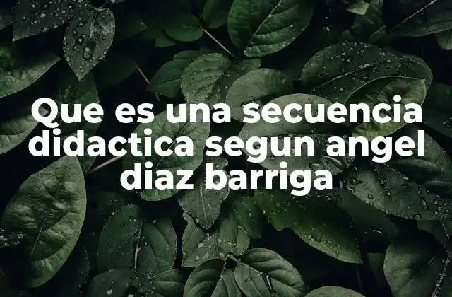 Que es una Secuencia Didactica Segun Angel Diaz Barriga
