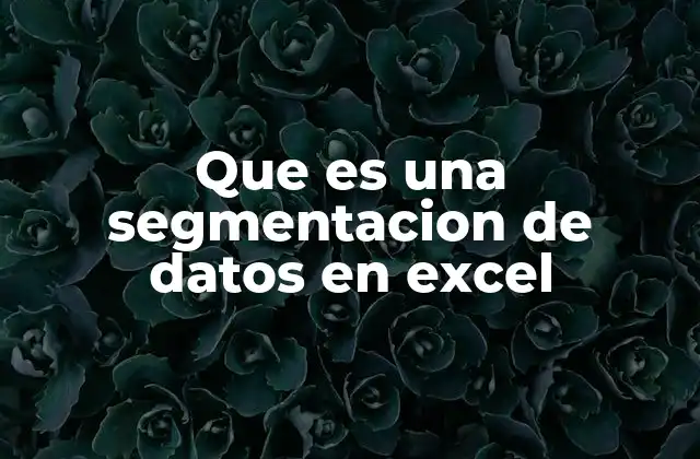 Que es una Segmentacion de Datos en Excel 2 Organización eficiente de grandes volúmenes de información