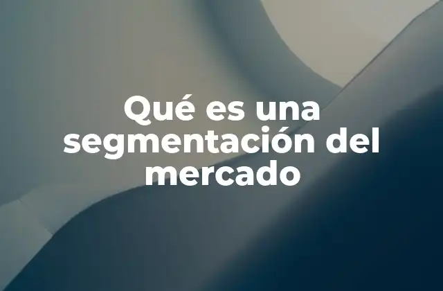 Qué es una Segmentación Del Mercado