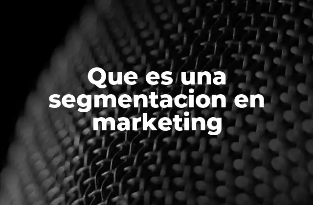 Que es una Segmentacion en Marketing