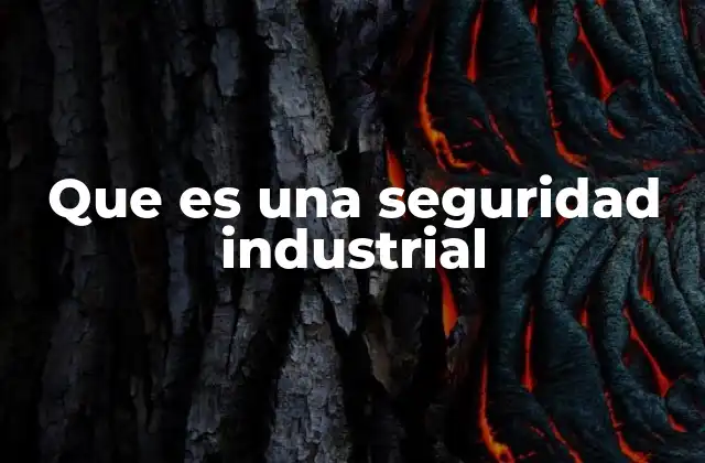 Que es una Seguridad Industrial