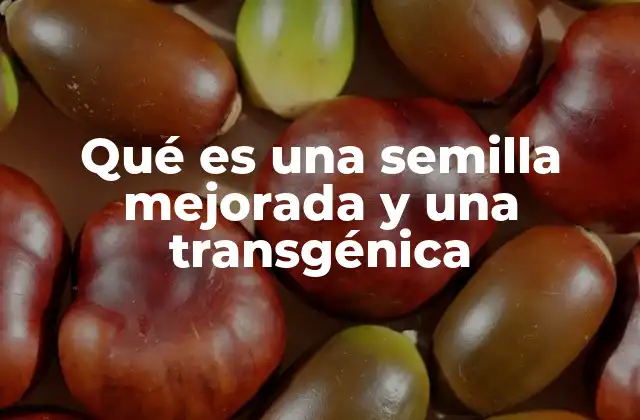 Qué es una Semilla Mejorada y una Transgénica
