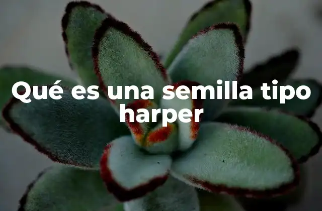 Qué es una Semilla Tipo Harper