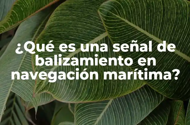 ¿qué es una Señal de Balizamiento en Navegación Marítima?