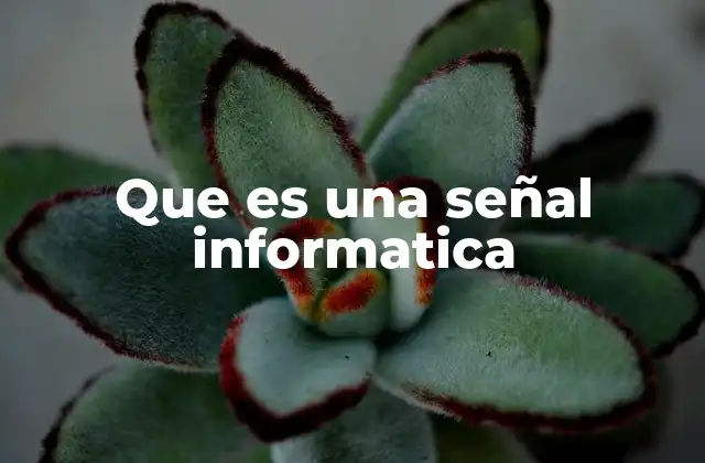 Que es una Señal Informatica
