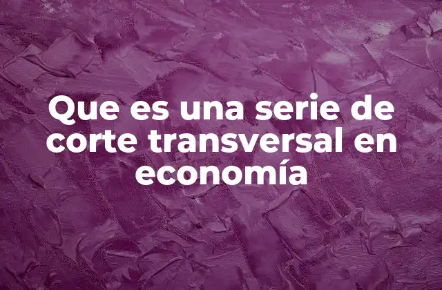 Que es una Serie de Corte Transversal en Economía