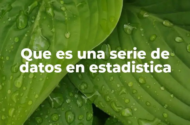 Que es una Serie de Datos en Estadistica