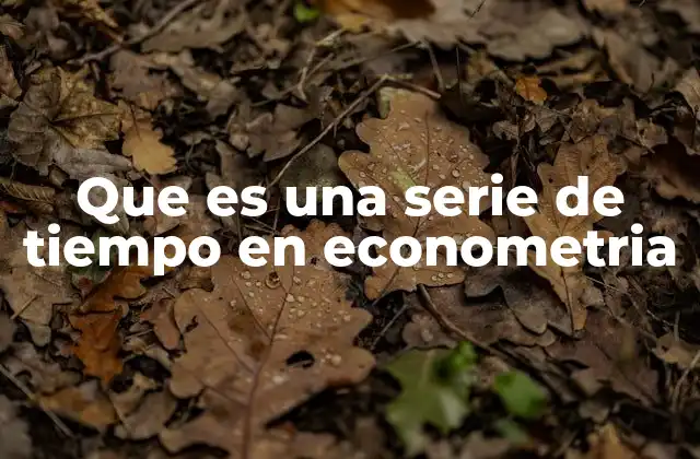 Que es una Serie de Tiempo en Econometria