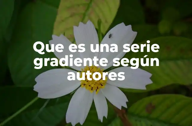 Que es una Serie Gradiente según Autores