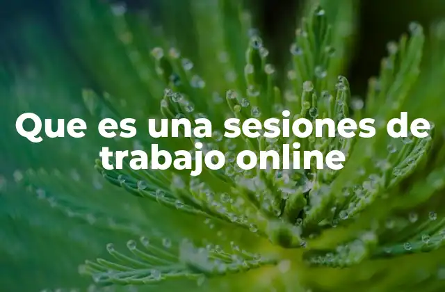 Que es una Sesiones de Trabajo Online