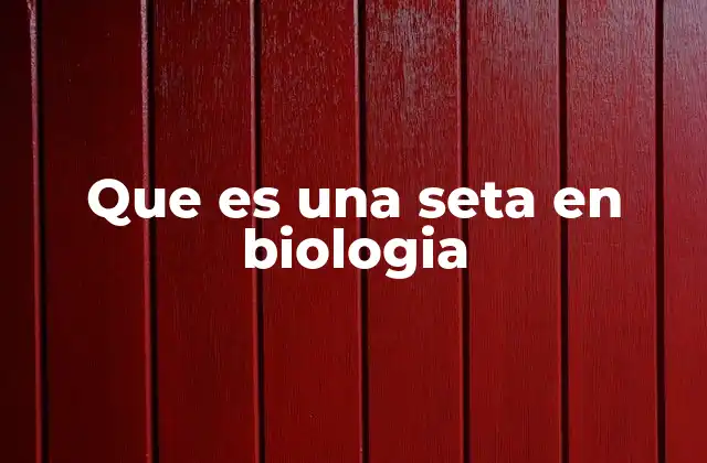 Que es una Seta en Biologia