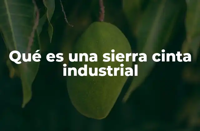 Qué es una Sierra Cinta Industrial