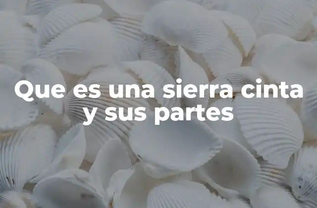 Componentes esenciales de una sierra cinta