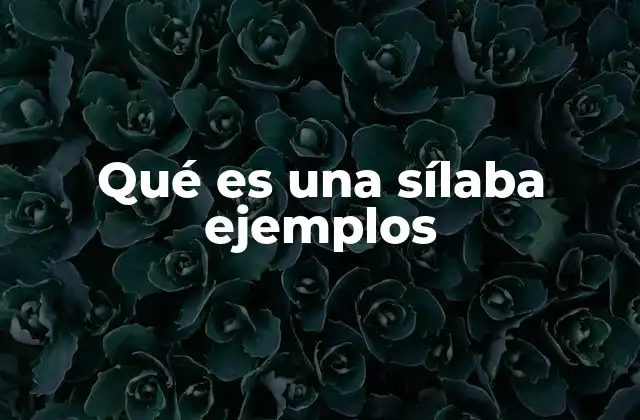 Qué es una Sílaba Ejemplos