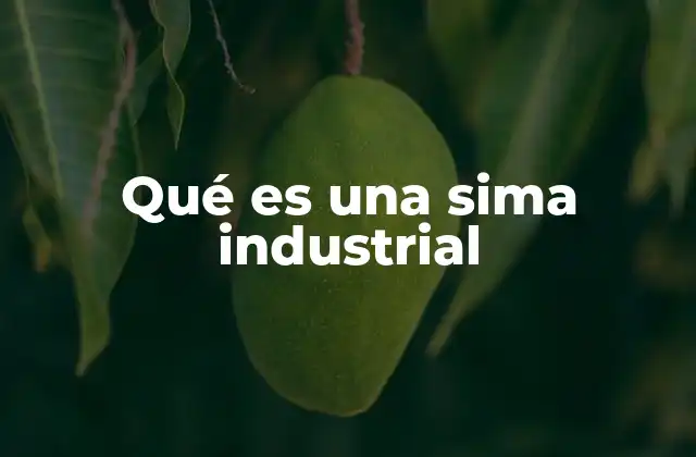 Qué es una Sima Industrial