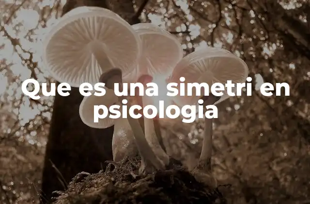 Que es una Simetri en Psicologia