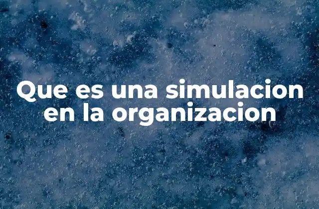 Que es una Simulacion en la Organizacion