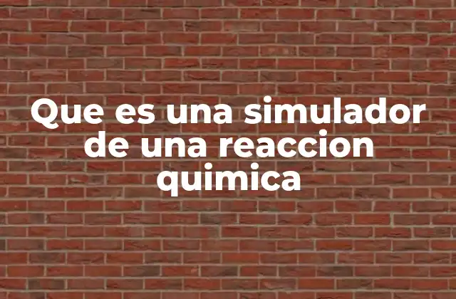 Que es una Simulador de una Reaccion Quimica