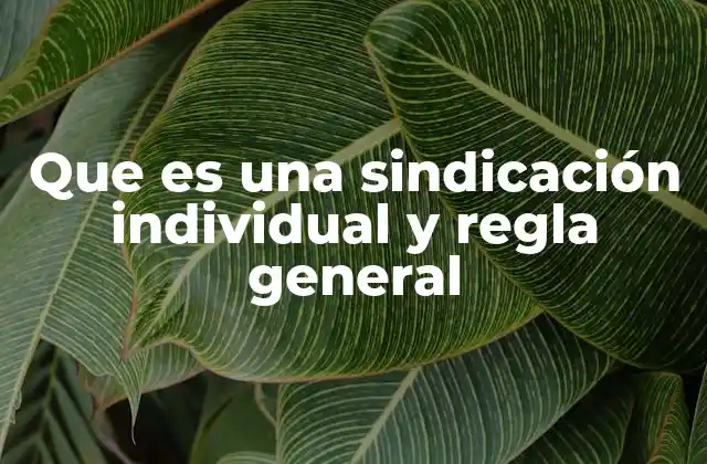 Que es una Sindicación Individual y Regla General