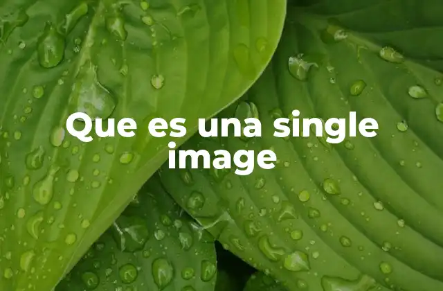 Que es una Single Image 2 La relevancia de las imágenes únicas en la tecnología moderna