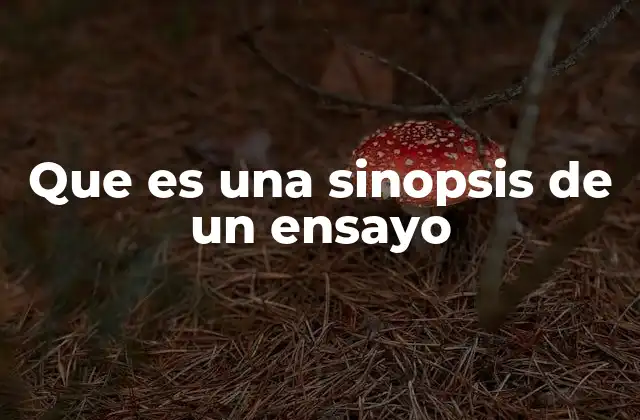 Que es una Sinopsis de un Ensayo