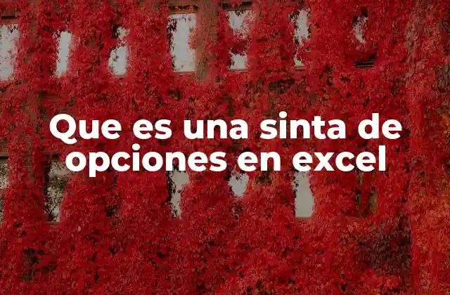Que es una Sinta de Opciones en Excel