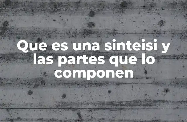 Que es una Sinteisi y las Partes que Lo Componen